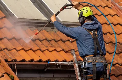 Démoussage et hydrofuge de toiture à Hères